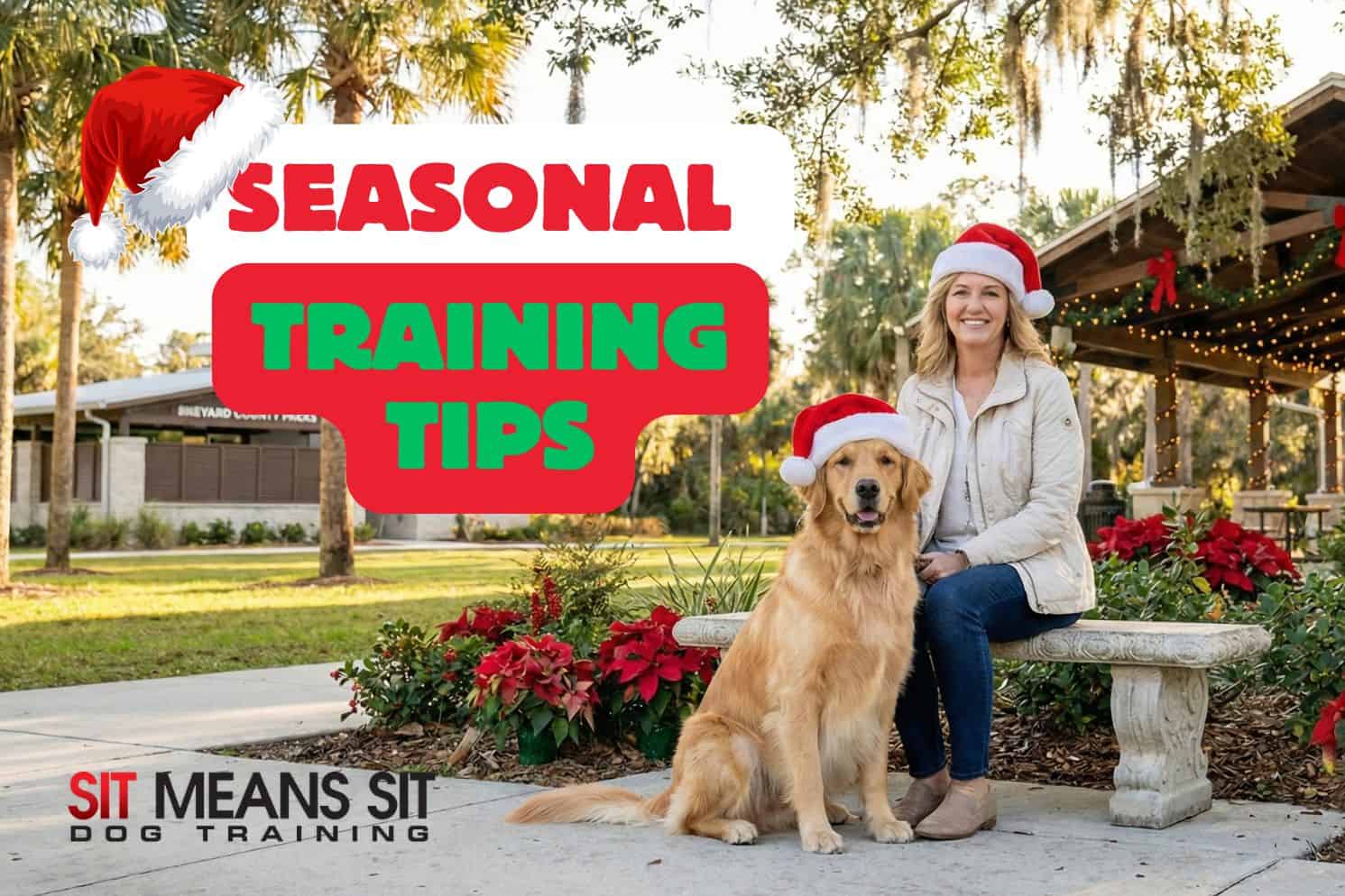 A professional dog trainer and a Golden Retriever wearing Santa hats sitting calmly on a bench in a Brevard County park with holiday decorations.