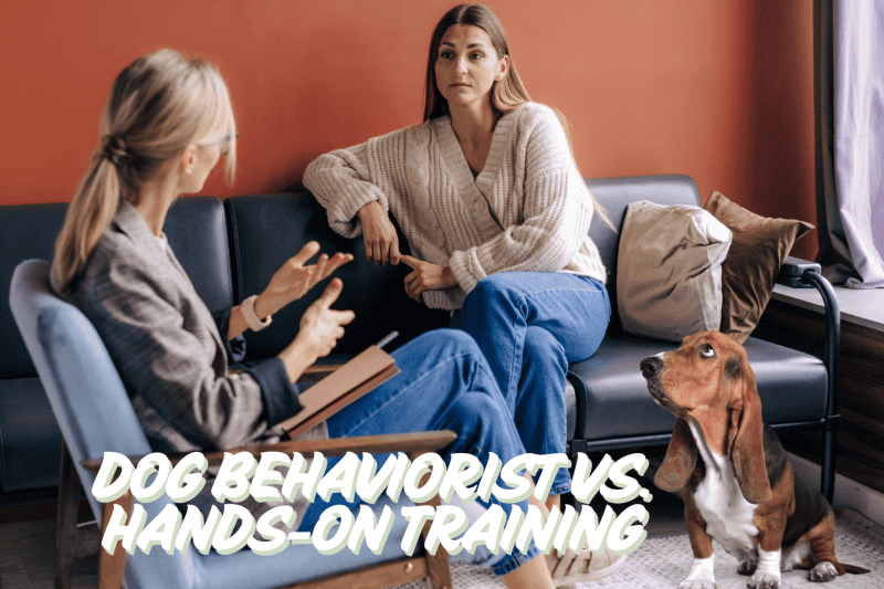dog behaviorist